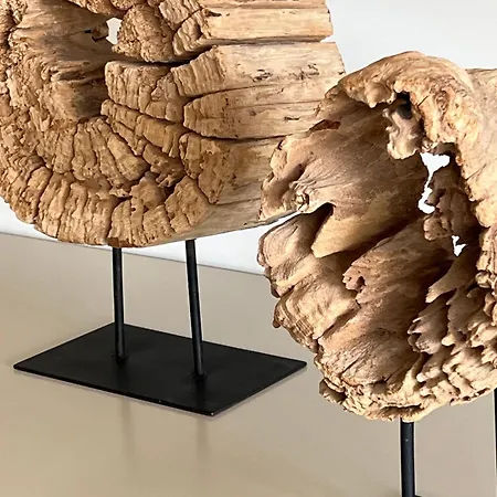 Cyril Magnifique Provencale Daire Saint-Tropez